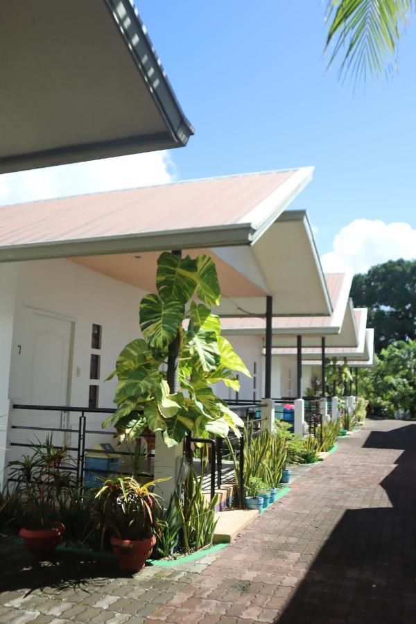 Ice Bear Bar & Tourist Inn Dauis Exterior photo
