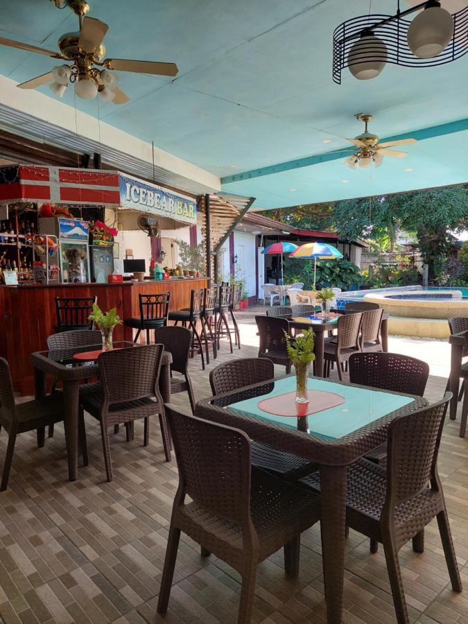 Ice Bear Bar & Tourist Inn Dauis Exterior photo
